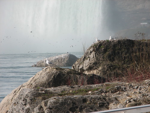 Niagara Falls 015 (30-Apr)