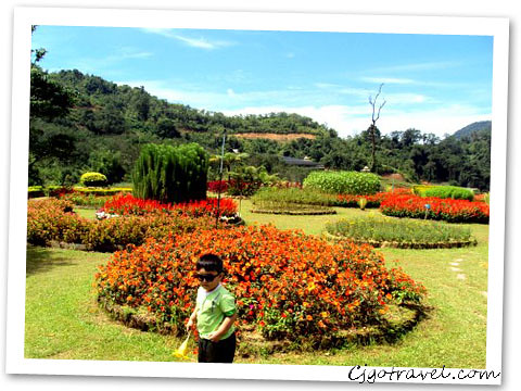 Thai Betong (Milion garden)