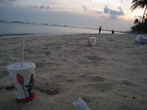Beach detritus I