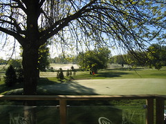backyard-golfcourse 013