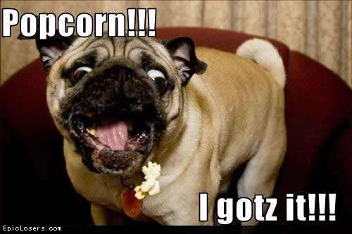 Popcorn!!! - LOLDogs