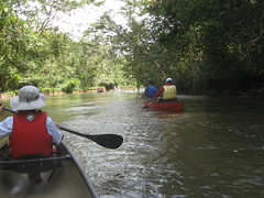 Caño Negro Canoe Trip (by S0Cal)
