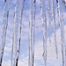 icicles 2