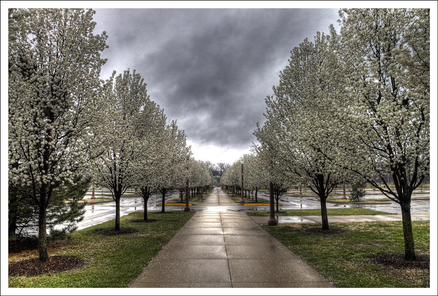 St. Louis Daily Photo: Forest Park, Spring Rain