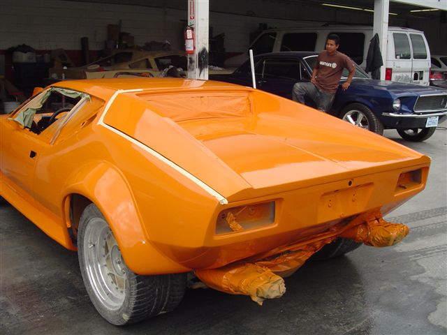 Pantera Orange Back 2