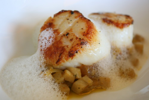 Grilled king scallop with mushroom ragout