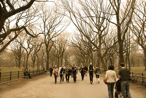 the mall central park nyc. the mall central park nyc.