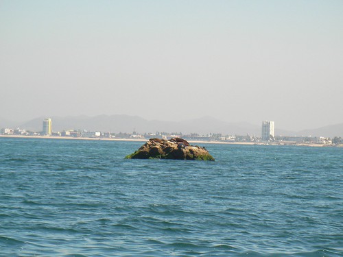 Isla Tortugas