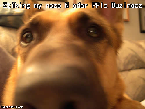 Sticking My Nose n oder Ppl's Business - LOLDogs