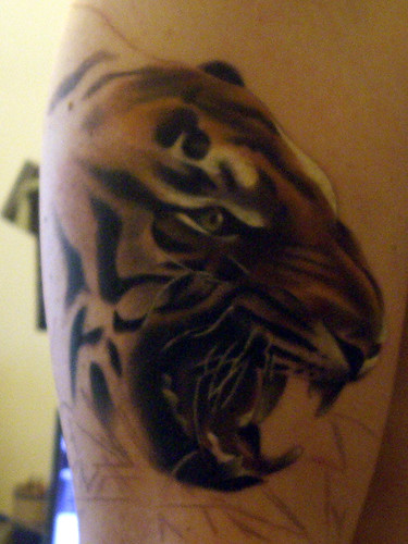 3551533653 cafded0dfe Strength and Beauty behind a Tiger Tattoo