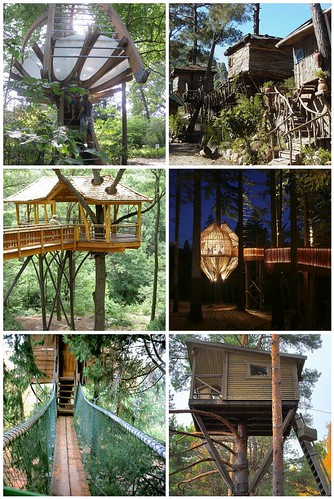 Treehouse Favorites