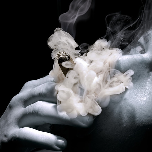 077|365 Cigar ~ Smoke