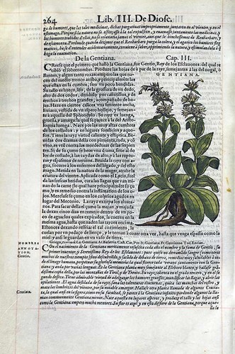 017- De la Genciana-Pedacio Dioscorides Anazarbeo 1555