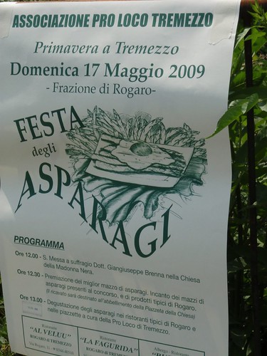 Asparagus Festival