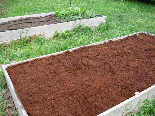The "Empty" Box with a Layer of Coir