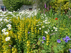 Garden in Thornton in Craven by Tim Green aka atoach