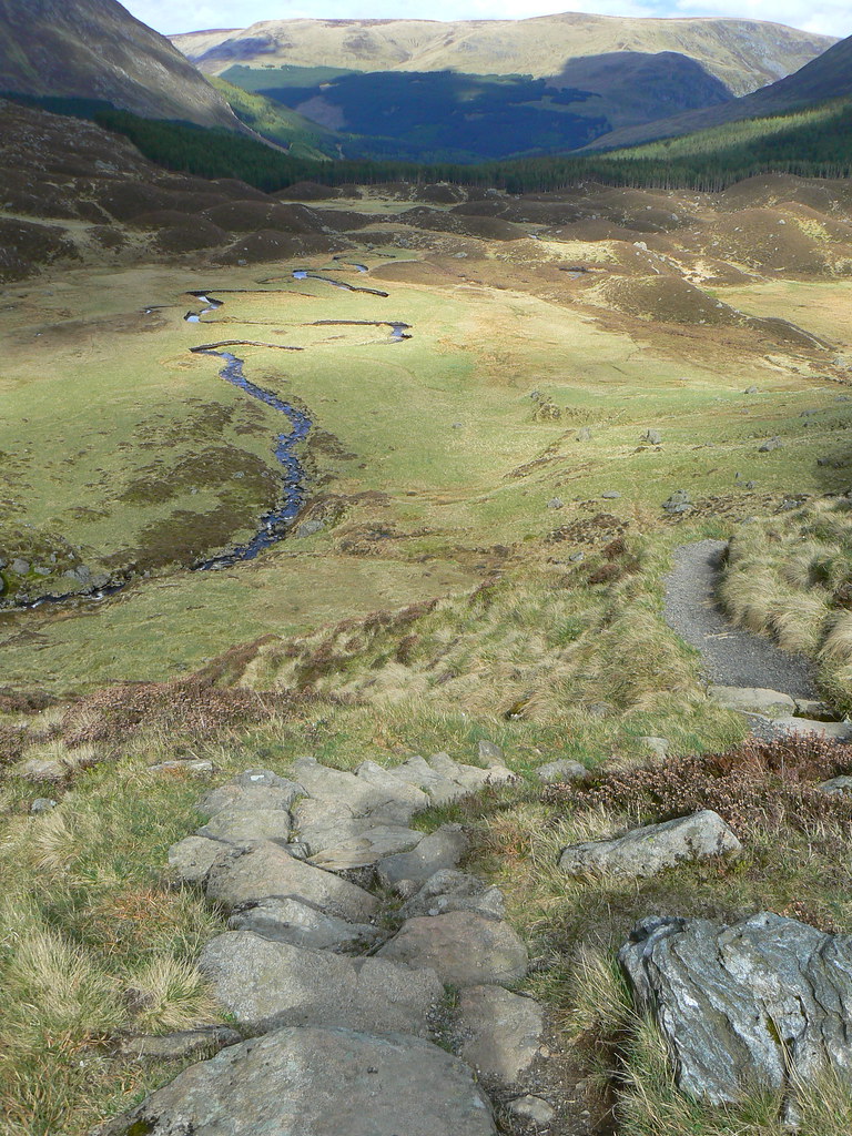 Track up Corrie Fee