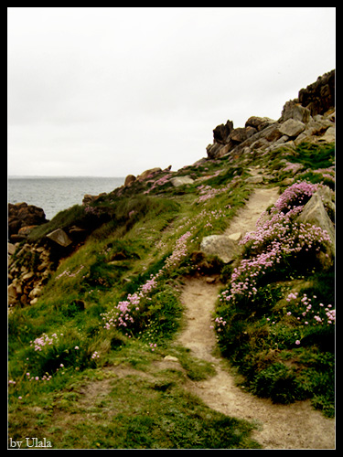 A walk in Brittany