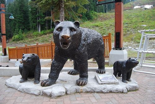 21 - Alpental Bears