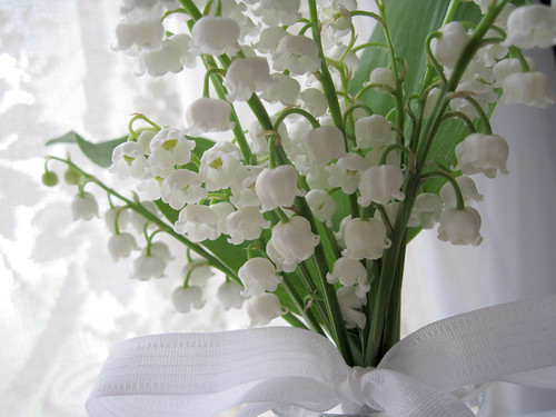 Lily-of-the-Valley 1