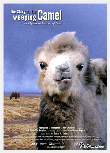 家庭電影院—「駱駝駱駝不要哭」（3.2ys）