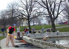 Baltimore's Patterson Park has been an asset to revitalization (by: Friends of Patterson Park via TPL)