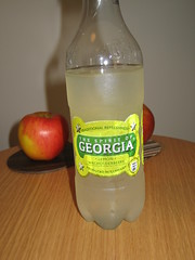 The Spirit of Georgia