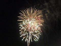 fireworks (3)