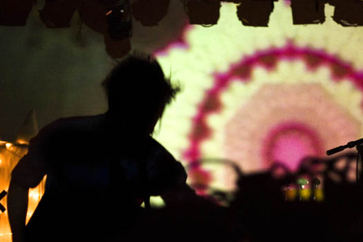 octopus project 024