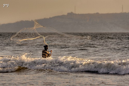 Catching Fish on the Tide by Yogendra174