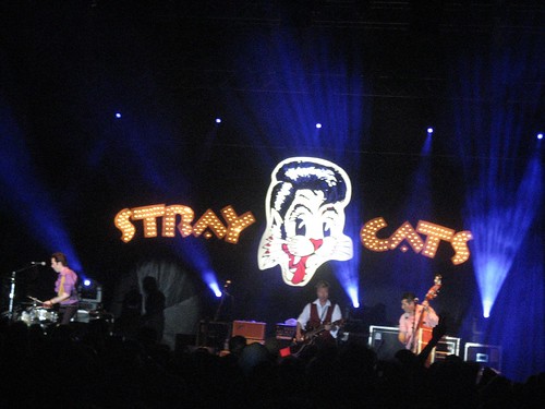 Stray Cats at the Fremantle Arts Centre