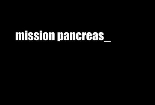 Mission Pancreas 2009