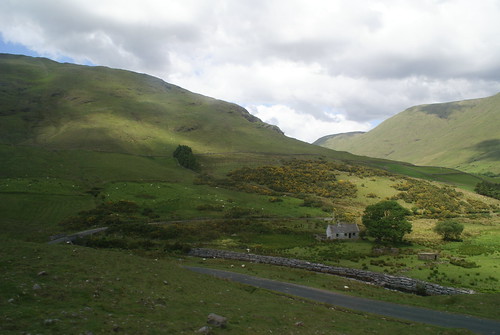 sheep dotting countryside