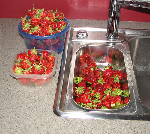 Ontario strawberries!