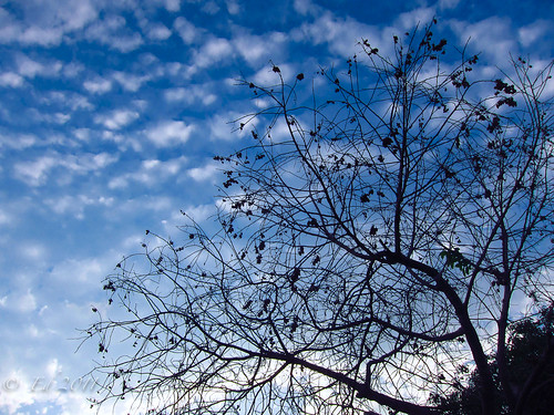 Mirando al cielo con deseos de vivir by photomyhobby