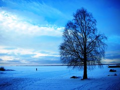 Winter at Lake Vänern in Sweden - by RennyBA #1