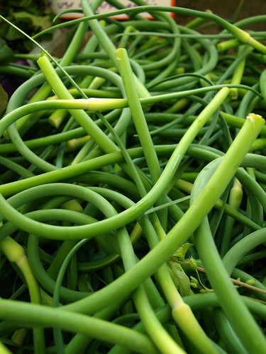 close-up of garlic scapes