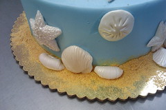 Sea cake 03