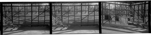 Memphis botanic gardens grid