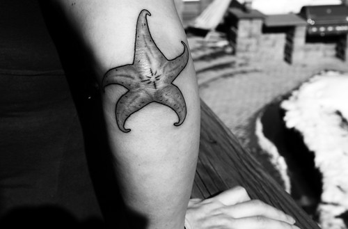 starfish tattoo. there#39;s a starfish stuck to my