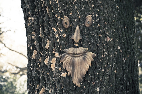 "I am the Lorax, I speak for the trees, for the trees have no tongues."