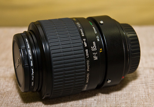 Canon MP-E65 1X-5X Macro Lens IMG_5351