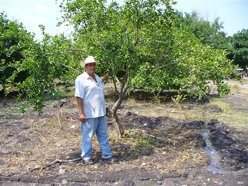 ecuador-organic-farming