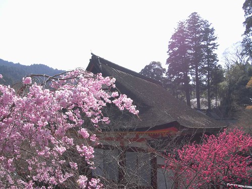 09-04-10【桜】＠談山神社-13