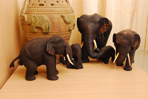 Our Elephant Collection