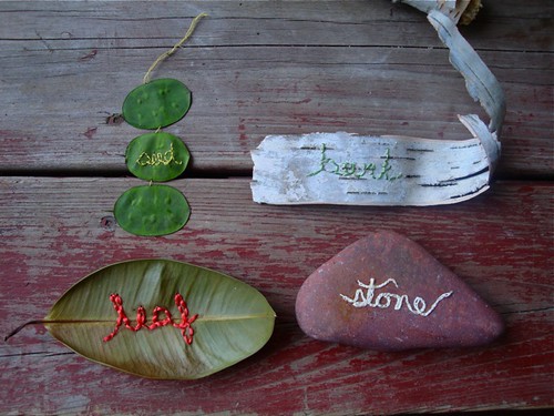 seed, leaf, bark, stone
