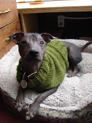 modeling the sweater mom made