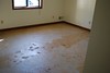 Carpet Removed - Back Room