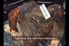 but they are not from Vietnam