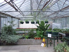 The Greenhouse - Stapenhill Burton on Trent